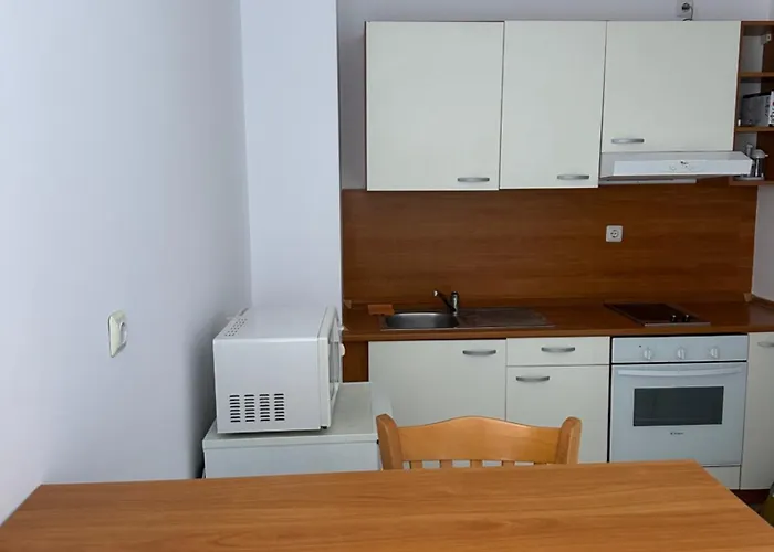 Vega View Apartment Sweti Wlas